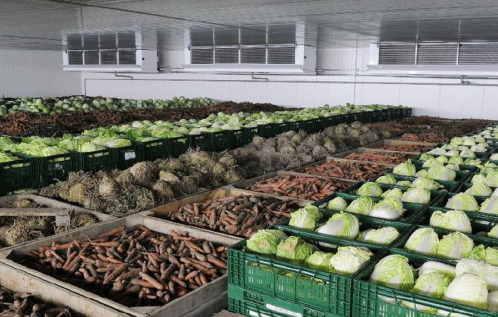 Кондиционер для сохранения овощей и фруктов